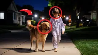Autistic Child Wanders Off at Night&mdash;Therapy Dog Uses Special Bond to Bring Him Home