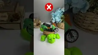Turtle Coaster - Cute adorable turtles #turtle #coaster #turtlecoaster #fyp part 26