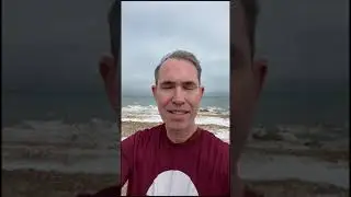 North Shore Vibe story