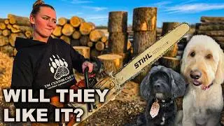 I Can't Afford to Mess This Up: Carving Two Custom Dogs