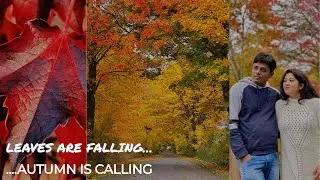 Fall Foliage 2020 | Fall in Pocono Mountain, Pennsylvania USA