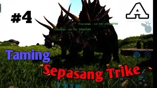 Taming triceratops Ark mobile||MAP RAGNAROK #4k 