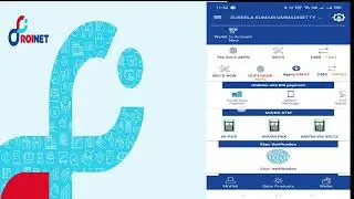 ROINET DEBIT CREDIT TRANSACTION PROCESS VM30