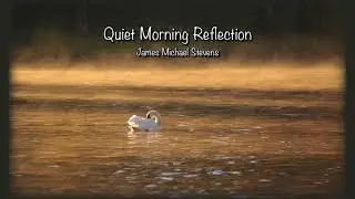 Quiet Morning Reflection