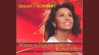 Wenn es Nacht wird in Konstanza (Single Version)