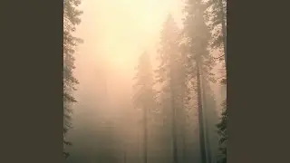 Mist and Memory