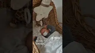 Reborn baby's first bottle feeding || Reborn first night home || nightroutine || crib || craddle