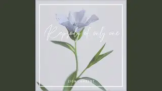 Soft Leaves