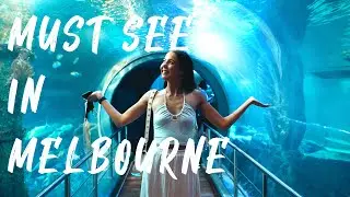 SEALIFE AQUARIUM VLOG, MELBOURNE ATTRACTIONS 2023