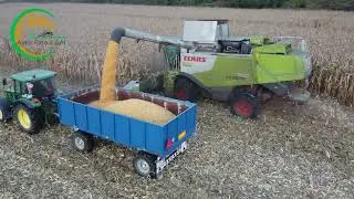 Claas Lexion 750 / 2x John Deere / Landini ||| PD Považie Považany ||| Žatva Kukurica 2021