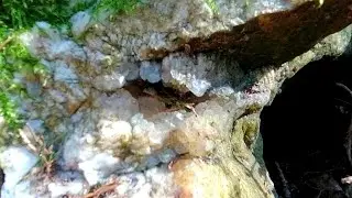 Minerals in the streams of the Ore Mts. P.4 - Quartz everywhere and a find waiting to be salvaged
