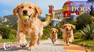 12 Hours of CALMING Piano Music for Anxious Dogs 🐾 Separation Anxiety Relief | Deep Sleep & Healing