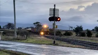 TasRail TR15 TR07 #31 train crossing Bishopsbourne Road