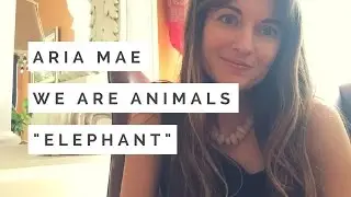 Elephant Totem - Spirit Animal Guided Meditation #1
