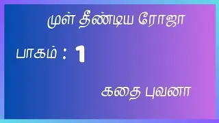 முள் தீண்டிய ரோஜா (Ep - 1) ஆரம்பிக்கும் புதிய அத்தியாயம் 