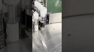 How to collect gorilla bottle??? Bottle collecting turntable
