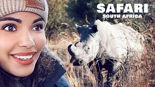 Safari South Africa