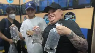 ESTE ES EL NUEVO LOCAL DE PECES EN EL MERCADO MORELOS - (The fish Hunters) - yayofish