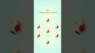 7 x 12km egg Hatching - Pok&eacute;mon GO - #RAREEGG #EGGHATCHING #12KMEGG