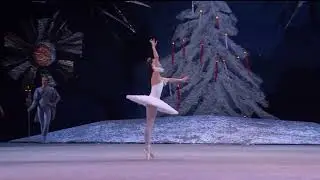 Ples &scaron;ećerne vile, Ora&scaron;ar