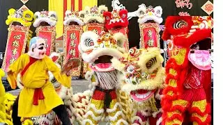 HỘI CHỢ TẾT VN _ Spectacularly capturing the excitement of the Vietnamese event: LION DANCE (part 3)
