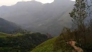 munar trip