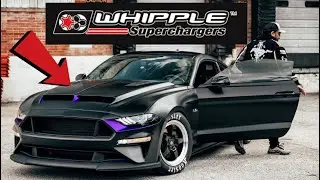 YES! My Gen 5 WHIPPLE is Here for my Drag Build Mustang! // Stangmode