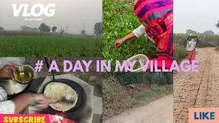 Aaj Ka Shaam Ka Daily Routine 🌆 | Winter Special Gobhi & Muli Ke Paraathe | Mini Vlog#visualvibes 