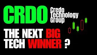 CRDO Credo Technology Group The Next Big Tech Winner in the Stock Market?