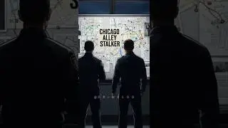 Chicago Alley Stalker   #ChicagoAlleyStalker #ChicagoTrueCrime  #MissingWomen #CrimeLog #TrueCrime