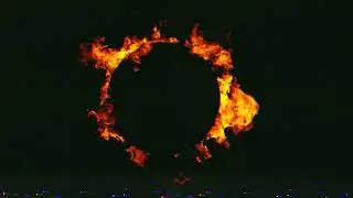 Gone (Visualizer)
