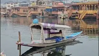 Dal Lake Freezes as Srinagar Shivers Under Intense Cold Wave❄️