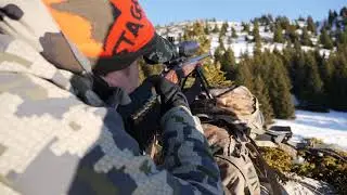 Chasse Chamois
