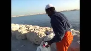 عامل نظافة مسن يحني ظهره لساعات في كورنيش القطيف