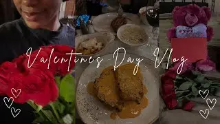 VALENTINES DAY VLOG | diml, errands, hair & makeup, *CHAOTIC*