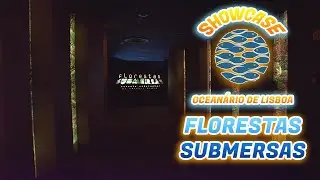 Ocean&aacute;rio de Lisboa - Florestas Submersas by Takashi Amano (Video Showcase)