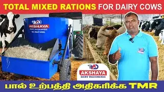 பசுக்களின் ஆரோக்கியத்திற்கும் பால் உற்பத்திக்கும்  (TMR) | Dairy Farms #cowfeed