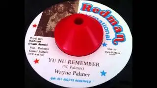 Wayne Palmer 