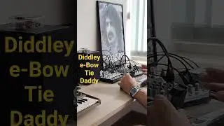 Diddley e-Bow Tie Daddy #diddleybow #ebow #korgvolca