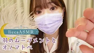 【ASMR】パジャマで睡眠ケアvol.6🌙眠くなる羽のムーブメントとオノマトペ💤Feather Movement & Onomatope / 날개의 움직임과 오노 마트 페