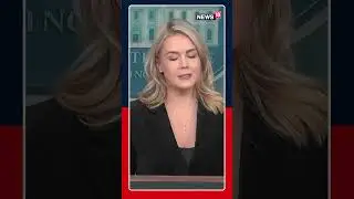 Белый дом защищает Дональда Трампа, назвавшего женщину-репортёра &laquo;свиньей&raquo; | Новости США | N18S
