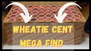 Epic Penny Hunt: Rare Semi Key Date & Over 30 Wheat Cents Found!