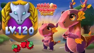 🎮Upgrading Autumn Dragon to Level 120 Full , Dragon Mania Legends | part 1728 HD
