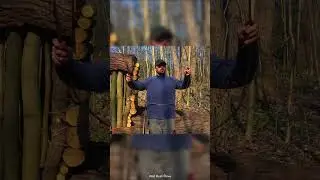 I Built a Hidden Shelter Inside a Fallen Tree Hollow