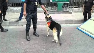 Happy bangla new year 1423 RAB Dog squad at Ramna Park