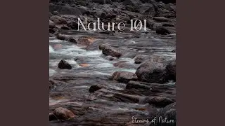 Balanced Water Stream