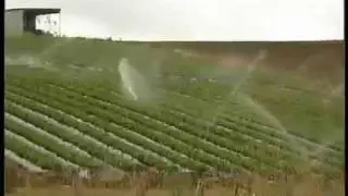 Magnetized Water