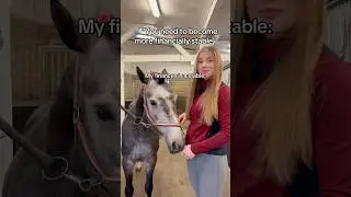 My finances are literally in a stable 🐴 #horse #equestrian #stallion #horsegirl #equestrianlife