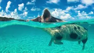 SNAPPER POINT, Marsh Harbour- Abaco, Bahamas