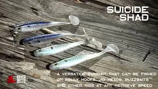 Big Bite Baits - Suicide Shad